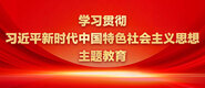 国产操淫妇大屁股啪啪学习贯彻习近平新时代中国特色社会主义思想主题教育_fororder_ad-371X160(2)